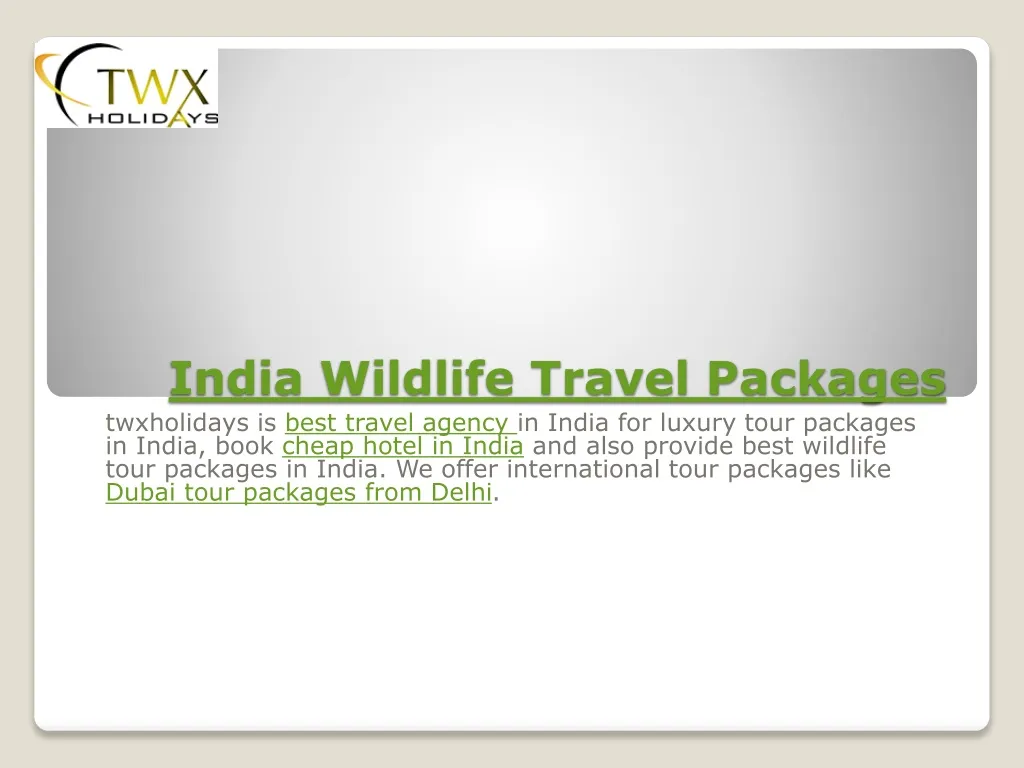 india wildlife travel packages