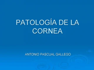 PATOLOG A DE LA CORNEA - slide 1