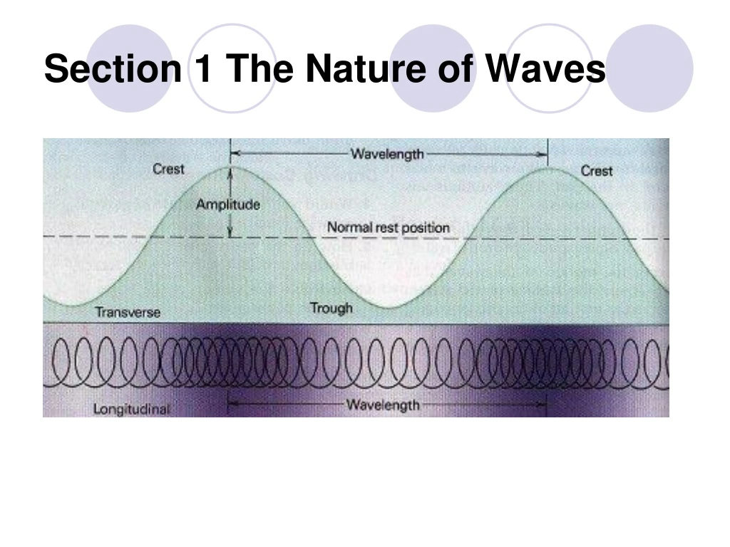 section 1 the nature of waves