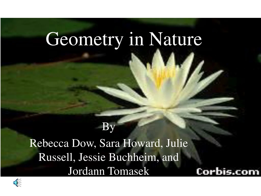 geometry in nature