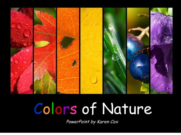 colors of nature