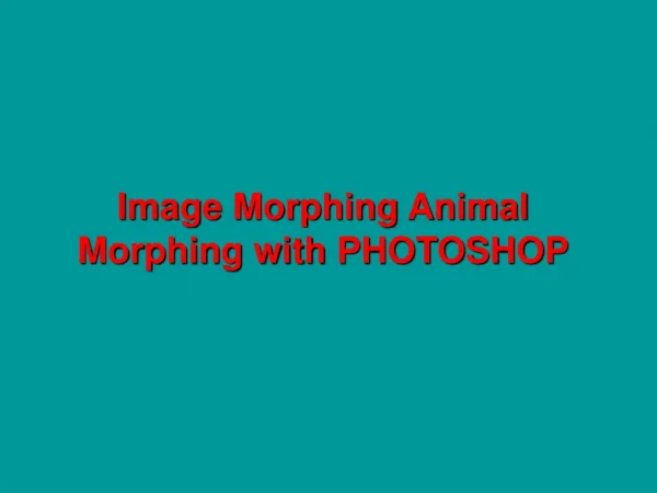 Image Morphing Animal Morphing with PHOTOSHOP