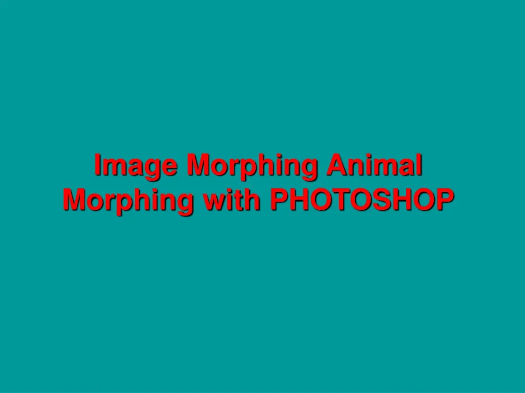 image morphing animal morphing with photoshop