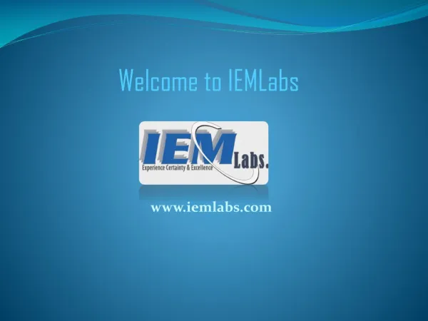 Internet Marketing Services at IEMLabs