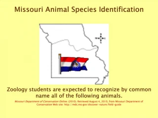 Missouri Animal Species Identification - slide 1