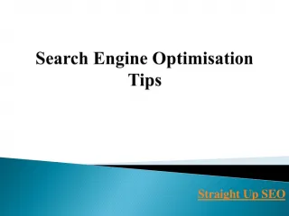 Search Engine Optimisation Tips - slide 1