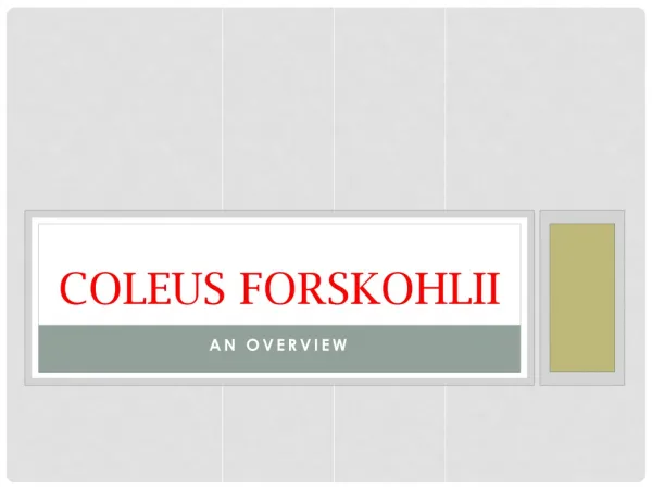 Coleus forskohlii - An Overview