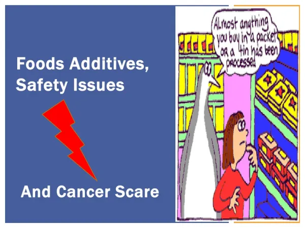 Food Additives, Safety Issues and Cancer