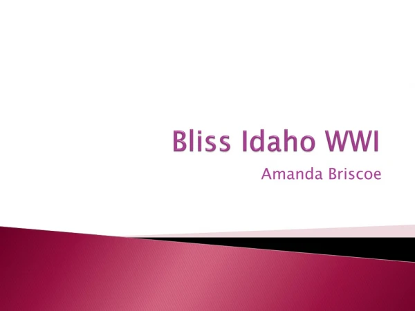 Bliss Idaho WWI