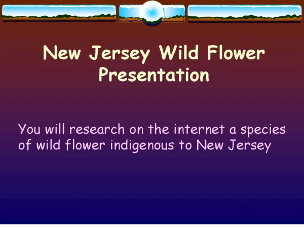 new jersey wild flower presentation