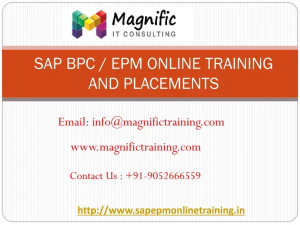 sap bpc online training and placements | magnific training