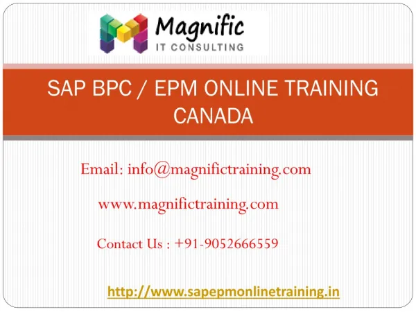 sap bpc online training canada | magnific training