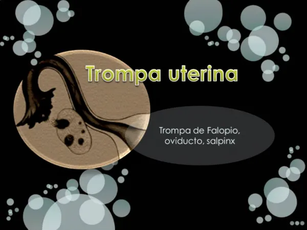 Trompa uterina