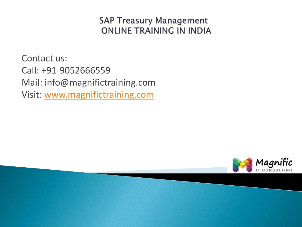 sap treasury management online training in india