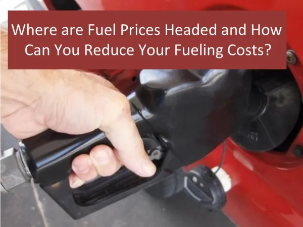 surge in fuel Prices; How Can You Reduce Your Fueling Costs?