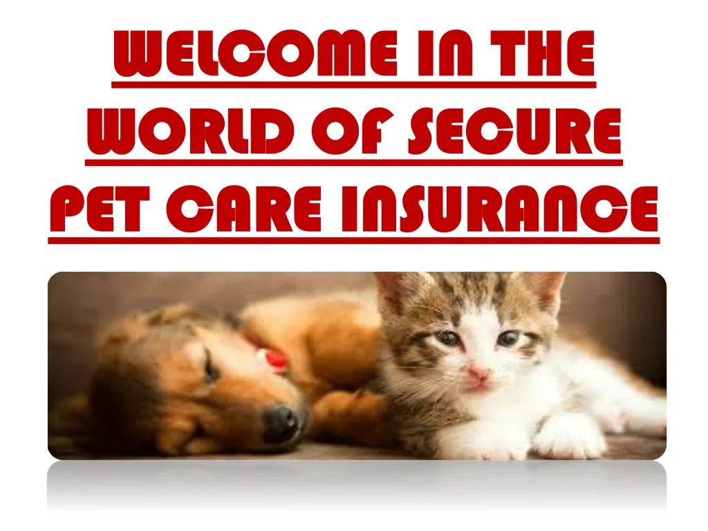 welcome in the world of secure pet care insurance