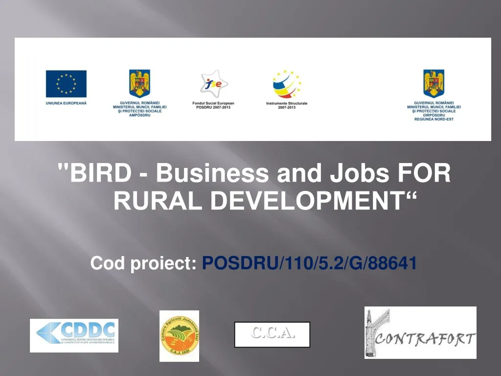 bird business and jobs for rural development