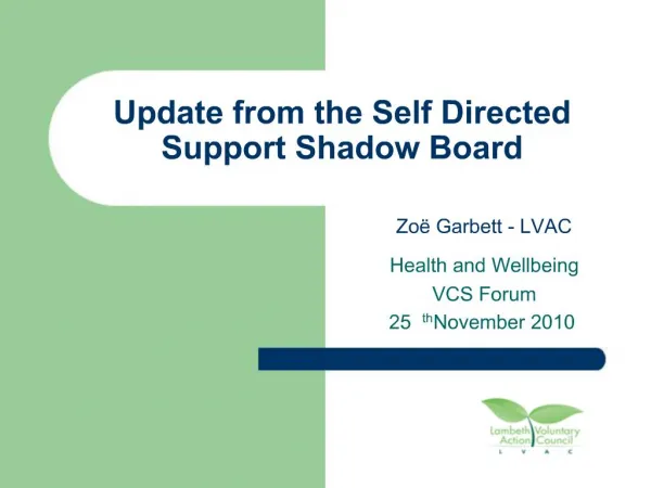 Update from the Self Directed Support Shadow Board