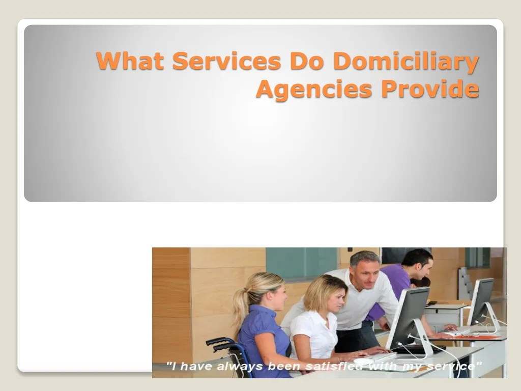what services do domiciliary agencies provide