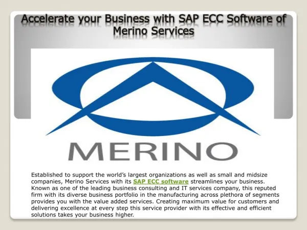 Accelerate your Business with SAP ECC Software of Merino Ser