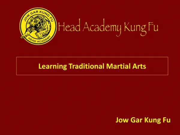 Learning Traditional Martial Arts