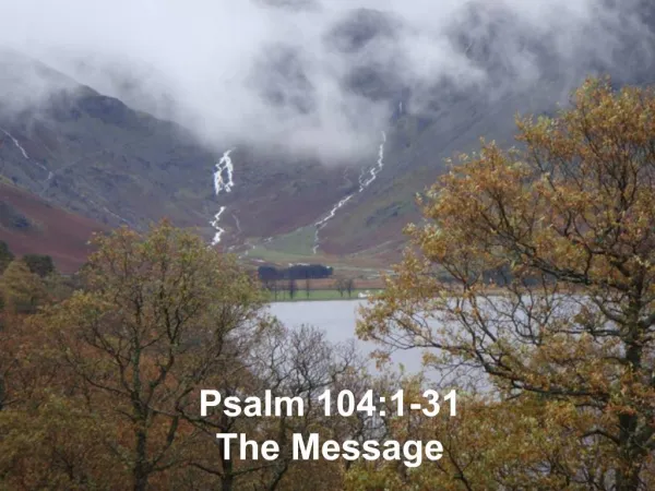 Psalm 104:1-31 The Message