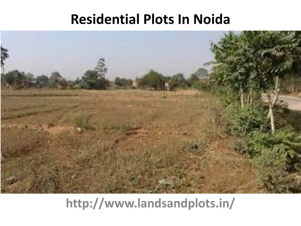 residential plots in noida