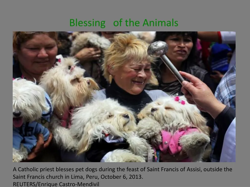 blessing of the animals