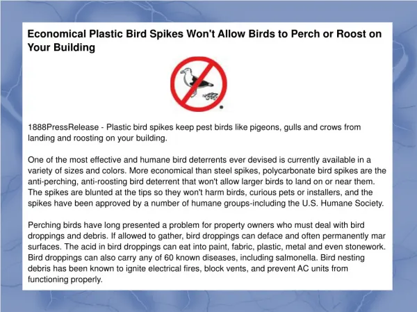 Economical Plastic Bird Spikes Won't Allow Birds