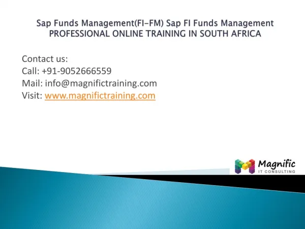 Sap Funds Management (FI-FM)professional south africa