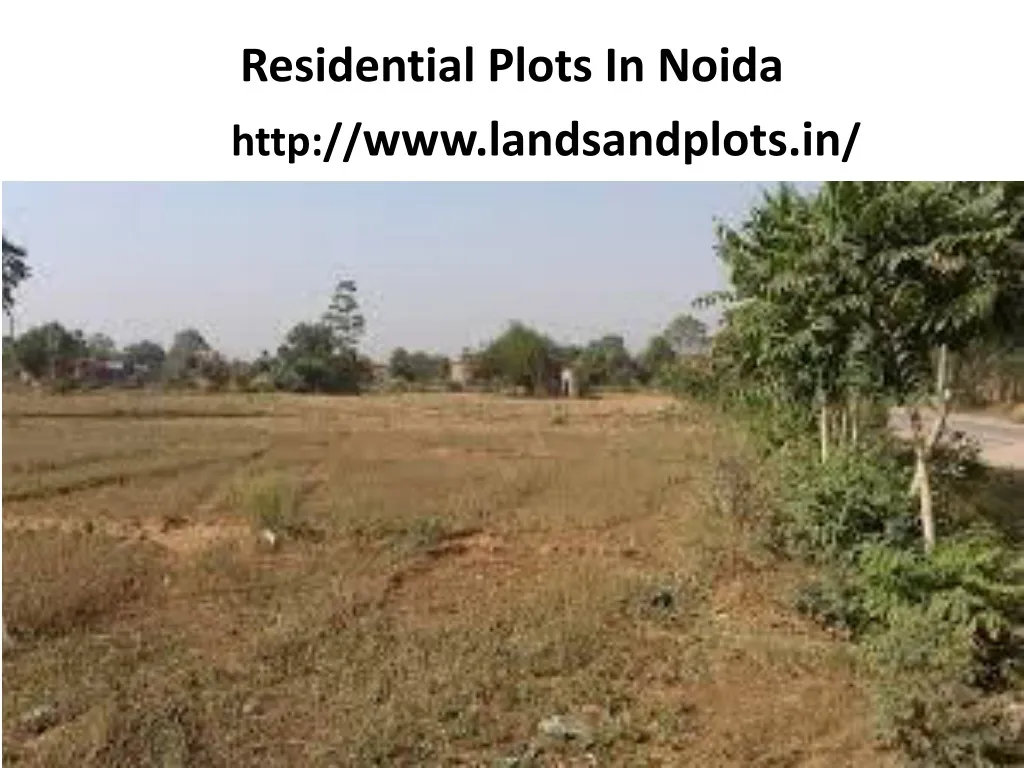 residential plots in noida