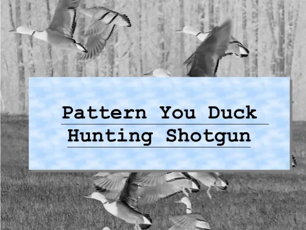 Pattern You Duck Hunting Shotgun