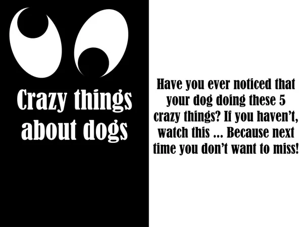Crazy things about dogs