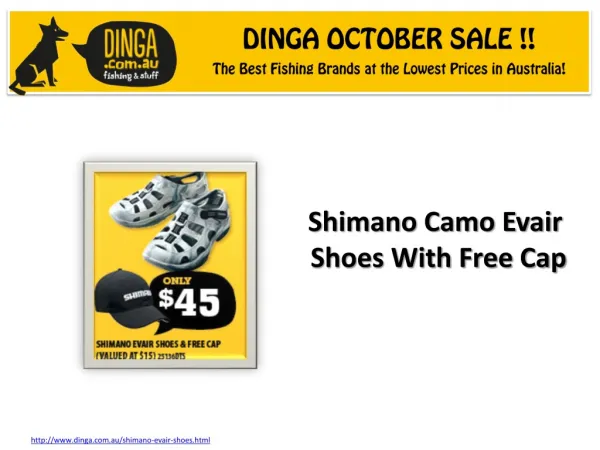 Shimano Camo Evair Shoes With Free Cap at dinga !!