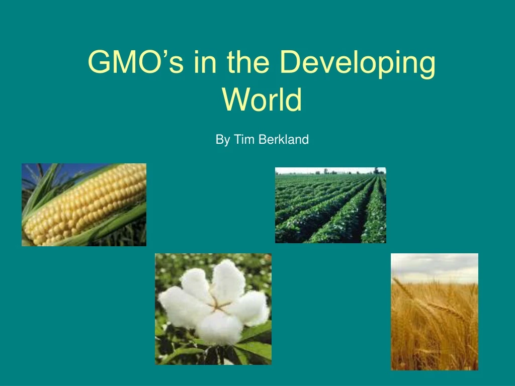 gmo s in the developing world