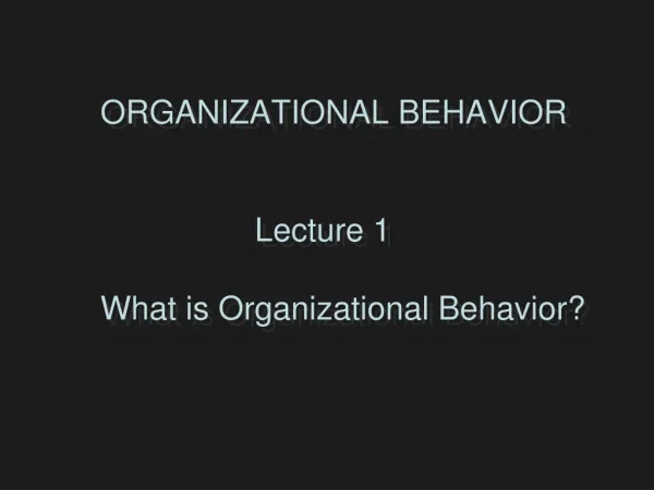 ORGANIZATIONAL BEHAVIOR Lecture 1 What is Organizational Behavior?