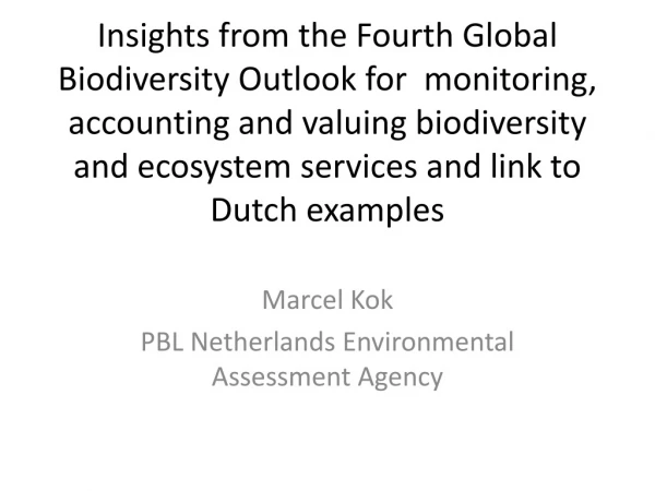 Marcel Kok PBL Netherlands Environmental Assessment Agency