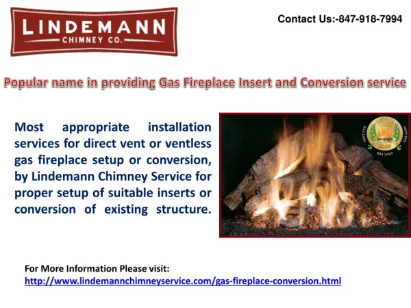 Popular name in providing Gas Fireplace Insert and Conversio