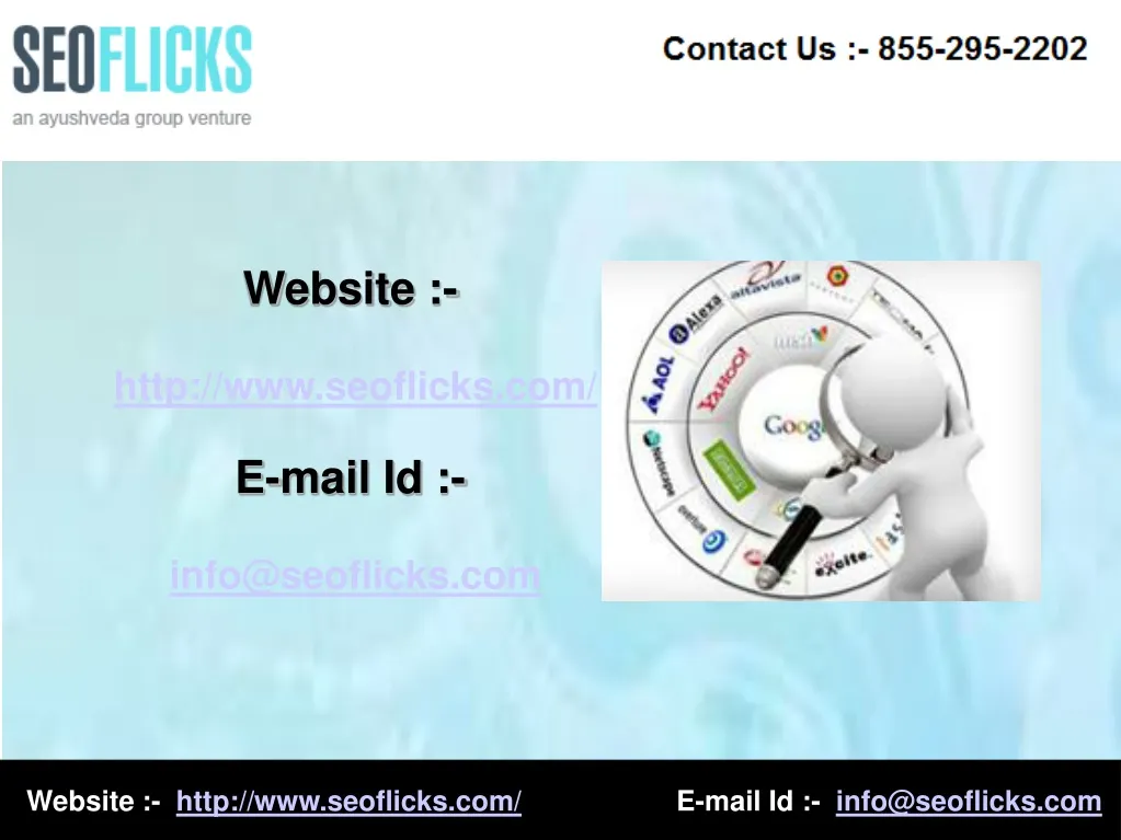 website http www seoflicks com e mail
