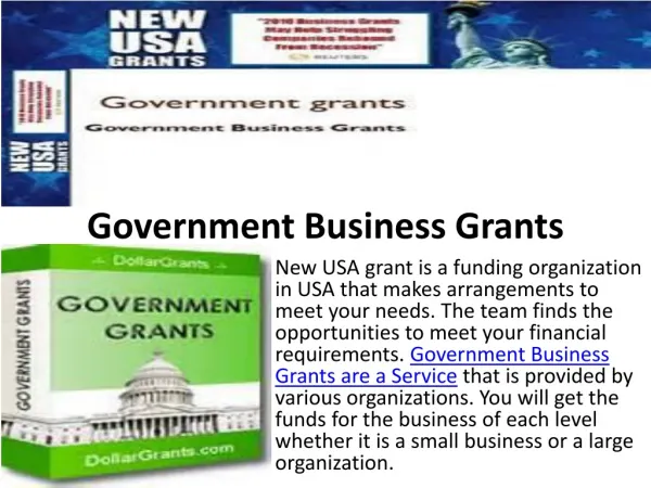 Government Business Grants are a Service