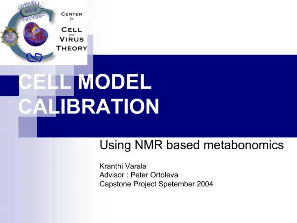 CELL MODEL CALIBRATION