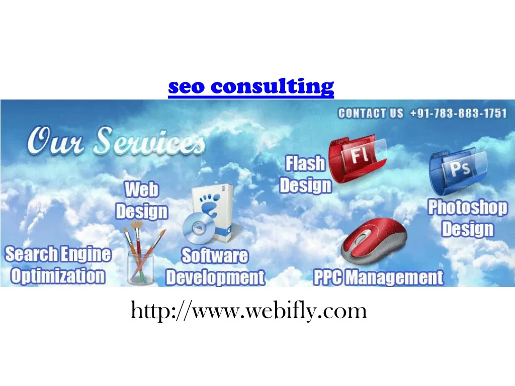 seo consulting