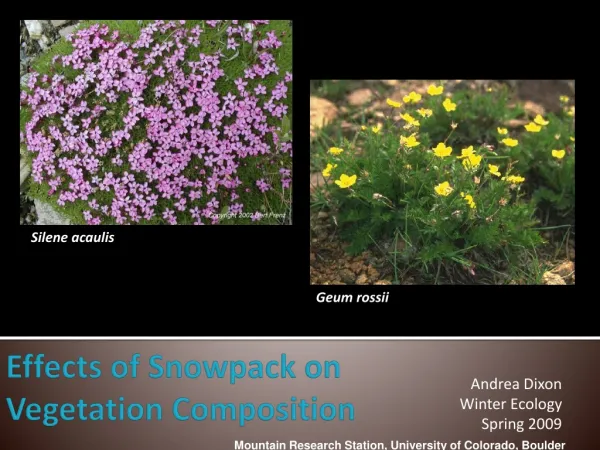 Effects of Snowpack on Vegetation Composition