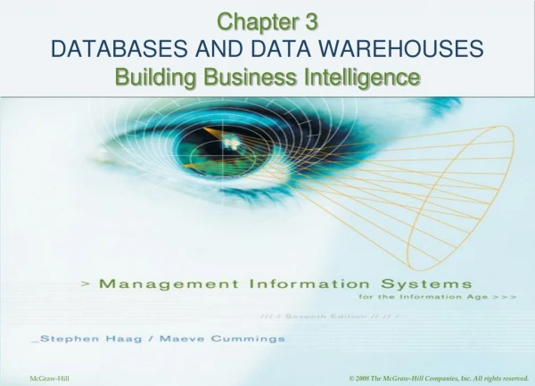 chapter 3 databases and data warehouses building business intelligence