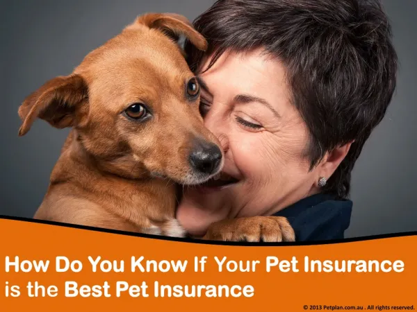 How do you know if your pet insurance is the best pet insura