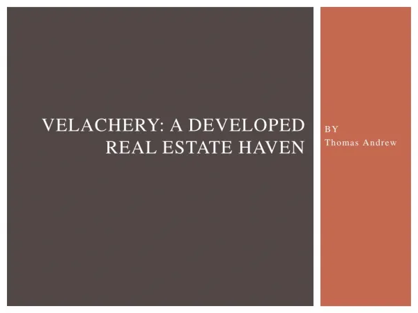 Velachery: A Developed Real Estate Haven