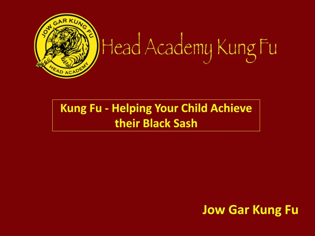 kung fu helping your child achieve their black sash