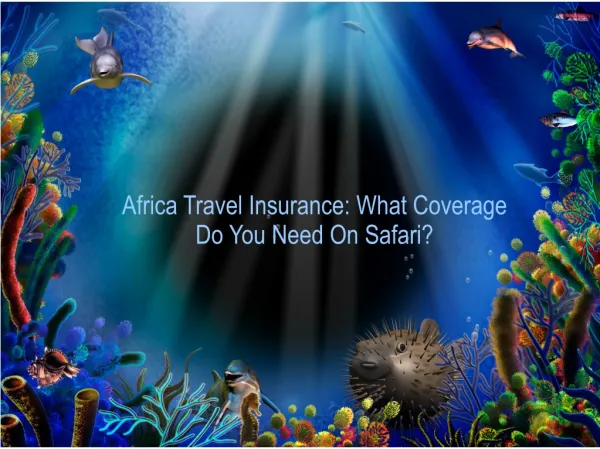 Africa Travel Insurance What Coverage Do You Need On Safari