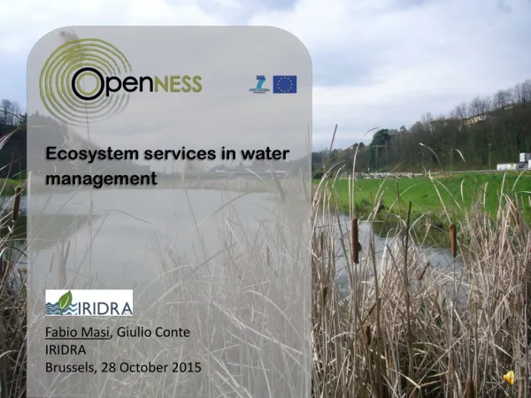 Ecosystem services in water management