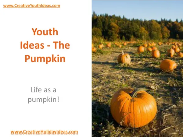 Youth Ideas - The Pumpkin